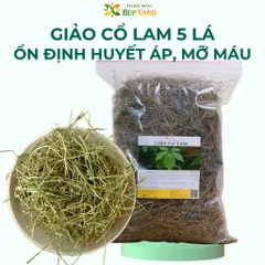 Giảo cổ lam 5 lá 1kg dây nhỏ loại 1, hỗ trợ huyết áp, tiểu đường, mỡ máu Thảo mộc Búp Xanh