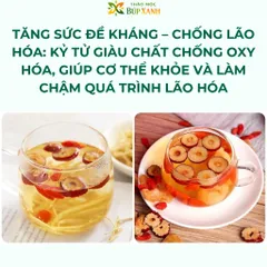 Kỷ Tử Đỏ 200g bổ gan thận, sáng mắt, tăng cường sức đề kháng và hỗ trợ làm chậm quá trình lão hóa Thảo Mộc Búp Xannh