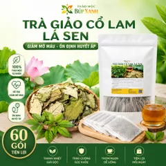 Trà Giảo Cổ Lam Lá Sen Túi Lọc Thảo Mộc Búp Xanh Bịch 60 Gói Ổn Định Huyết Áp, Mỡ Máu