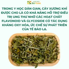 Cây xương khỉ khô 1kg cây bìm bịp thanh nhiệt giải độc, tăng sức đề kháng, hỗ trợ kháng viêm tự nhiên Thảo Mộc Búp Xanh