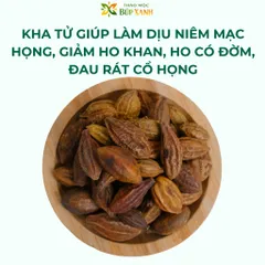 Quả Kha Tử Khô 1kg nguyên quả, kha tử ngậm ho, dùng nấu siro, hỗ trợ giảm đau họng khản tiếng Thảo Mộc Búp Xanh