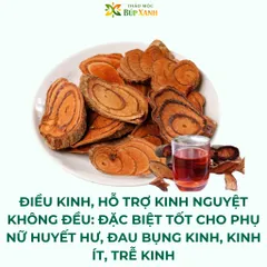 Huyết đằng, kê huyết đằng thái lát 1kg bổ huyết, hỗ trợ lưu thông máu, kích thích tiêu hóa Thảo Mộc Búp Xanh