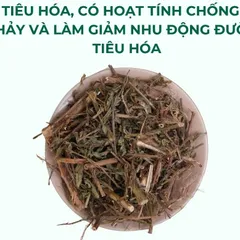 Trà Rau Mương Chữa Dạ Dày 1kg Thảo Mộc Búp Xanh hỗ trợ trào ngược dạ dày, khuẩn hp