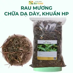 Trà Rau Mương Chữa Dạ Dày 1kg Thảo Mộc Búp Xanh hỗ trợ trào ngược dạ dày, khuẩn hp