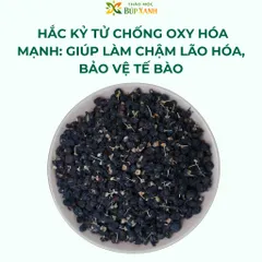 Hắc kỷ tử, kỷ tử đen 200g loại 1 nguyên chất chống oxy hóa cao, pha trà dưỡng nhan Thảo Mộc Búp Xanh
