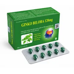 GINKGO biloba 120mg Cải thiện trí nhớ và chứng mất ngủ hoạt huyết dưỡng não, đau đầu chóng mặt, ngủ không ngon vien