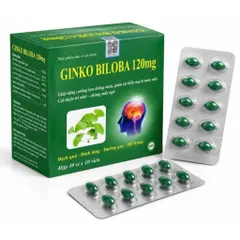 GINKGO biloba 120mg Cải thiện trí nhớ và chứng mất ngủ hoạt huyết dưỡng não, đau đầu chóng mặt, ngủ không ngon vien