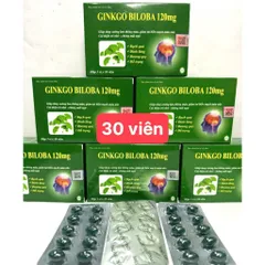 GINKGO biloba 120mg Cải thiện trí nhớ và chứng mất ngủ hoạt huyết dưỡng não, đau đầu chóng mặt, ngủ không ngon vien