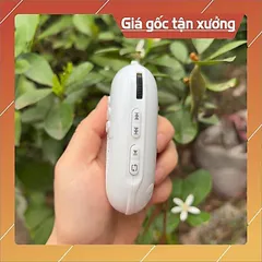 Chỉ Loa bồ đề (chưa có nhạc) Loa đeo cổ