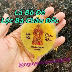 LOẠI 1 - Lá Bồ Đề Bà Chúa Xứ (Cầu làm ăn Tài Lộc) - Lá Thật Nguyên Bản