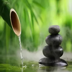 [SPA ZEN MUSIC] Thẻ Nhớ 8G Chép Hơn 30 Bài Nhạc Thiền Hay Nhất, Thiền Cho Spa - Âm Thanh Nước Chảy có hoả tốc