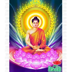 Chuỗi vòng gỗ 108 hạt  mun đen 6li và 8 li lông đuôi công đẹp, phù hợp với mọi độ tuổi