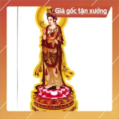 BỘ TRANH ĐÀN ĐỘ ÂM 17 BỨC CAO 40CM ĐÃ ÉP PLATICS