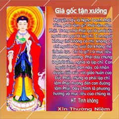 Thẻ 8G Chép Sẵn 617 Bài Tổng Hợp Pháp Môn Niệm Phật - Kinh Thiện Ác Nhân Quả, Trợ Niệm Khi Lâm Chung