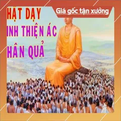 Thẻ 8G Chép Sẵn 617 Bài Tổng Hợp Pháp Môn Niệm Phật - Kinh Thiện Ác Nhân Quả, Trợ Niệm Khi Lâm Chung