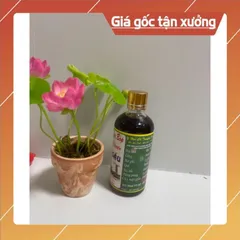 Dầu xoa bóp gia truyền có hoả tốc