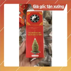 NỤ TRẦM XÔNG NHÀ LỚN CỰC THƠM VH15