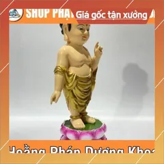 Tượng Đản Sanh Cao 24cm Đứng Nhiều Màu  DƯƠNG KHOA SHOP DƯƠNG KHOA SHOP