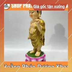 Tượng Đản Sanh Cao 24cm Đứng Nhiều Màu  DƯƠNG KHOA SHOP DƯƠNG KHOA SHOP
