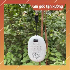 Combo loa lá bồ đề  kèm thẻ nhớ 8gb ,Danh sách bài hát tắm ngôn ngữ Tiếng anh,Tiếng Viêt cao cấp