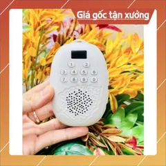Loa lá bồ đề kèm thẻ 8gb - 16gb Nghe tắm ngôn ngữ, Nghe Tiếng Anh