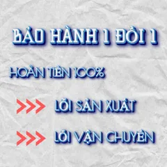Khung Khung ảnh chân dung BÁC HỒ - có khung  có hoả tốc