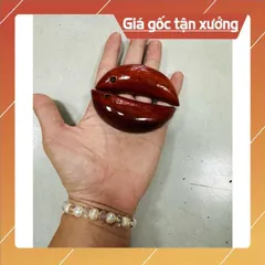 Combo 10 cặp xin keo làm bằng gỗ 🌼🌼🌼 có hoả tốc