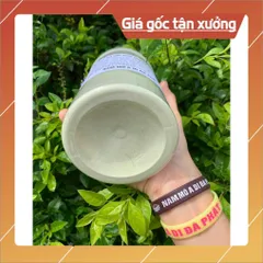 BỘT RAU MÁ ĐẬU XANH N.GUYÊN C.HẤT(2 hộp 1kg)