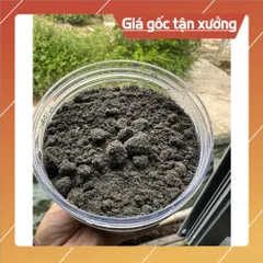 BỘT MÈ ĐEN ĐẬU ĐEN XANH LÒNG(1kg/2 hộp)