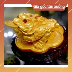 Tượng Cóc Ba Chân ngậm tiền-Thiềm Thừ chiêu tài lộc có đế-Nhiều mẫu