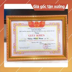 Combo 10 chiếc khung 21x30 khung 329 trám vàng lọt lòng