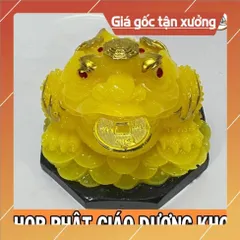Cóc LỚN, Thiềm Thừ 10CM Ngọc Phong Thuỷ Lớn ĐẸP