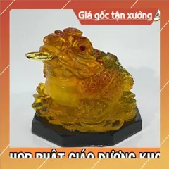 Cóc LỚN, Thiềm Thừ 10CM Ngọc Phong Thuỷ Lớn ĐẸP
