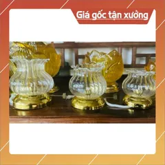 Bóng đèn dầu cao cấp 🌼🌼 có hoả tốc
