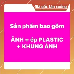 Khung Tranh ĐỨC HUỲNH GIÁO CHỦ 25cm x 35cm