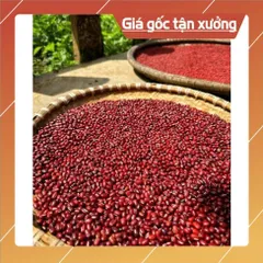 BỘT NGŨ HỒNG ĐẬU
