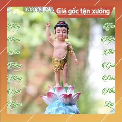 Tượng Phật Đản Sanh tọa đài sen áo giác vàng vẽ màu siêu đẹp CÓ HOẢ TỐC