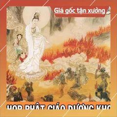 Thẻ Nhớ 128MB Chép Sẵn Trọn Bộ Kinh Địa Tạng, Niệm 6 Câu Nam Mô A Di Đà Phật - Hòa Thượng Thích Trí Thoát Tụng HOẢ TỐC