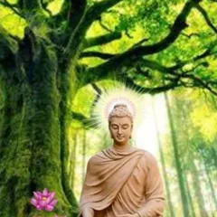 Hình Đẹp Đức Phật - Ép Nhựa, A5 - Tâm Hồn Thanh Tịnh DƯƠNG KHOA SHOP