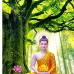Hình Đẹp Đức Phật - Ép Nhựa, A5 - Tâm Hồn Thanh Tịnh DƯƠNG KHOA SHOP