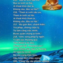 Kinh Pháp Cú - Phẩm Hỷ Ái - Tâm Hồn Thanh Tịnh DƯƠNG KHOA SHOP