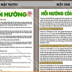 10 TỜ Tờ Chú Hồi Hướng bằng giấy, IN 2 MẶ ÉP PLASTICS NHIỀU CỠ  DƯƠNG KHOA SHOP DƯƠNG KHOA SHOP