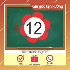 Bộ hoa số 0 đến 100 cắt sẵn ép platics có Nam châm lá sau