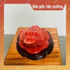 Tượng Cóc Thiền Thừ Phong Thuỷ Ngậm Đồng Tiền có hoả tốc