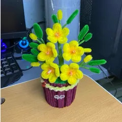 Chậu mini hoa kẽm nhung chưng Tết.Hoa mai,đào,quýt,đào đông. Ảnh thật