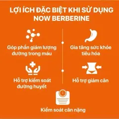 Viên Uống Hỗ Trợ Đường Huyết NOW Foods Berberine Glucose Support