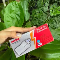 CẦU DAO ĐẾ SỨ 30A-2P-600V , 20A , 60A CỰC ĐÚC SOPOKA