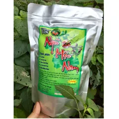 Trà Ngũ Mộc Nam giải độc gan, hạ huyết áp, tiểu đường, mỡ máu, gút