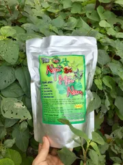 Trà Ngũ Mộc Nam giải độc gan, hạ huyết áp, tiểu đường, mỡ máu, gút