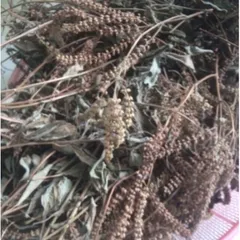 1Kg Hương nhu khô